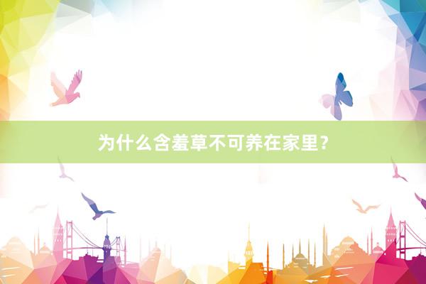 为什么含羞草不可养在家里？
